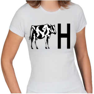 Camisa Camisa Vaca H img02